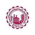 شركة قطر الوطنية لصناعة الأسمنت لوغو